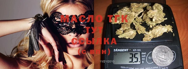 твердый Бердск