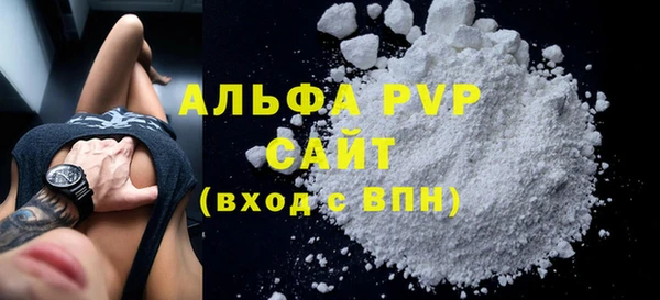 твердый Бердск