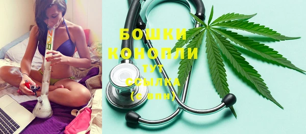 твердый Бердск