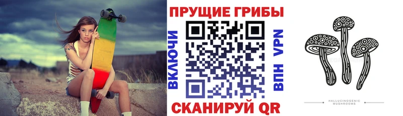 закладка  Улан-Удэ  Псилоцибиновые грибы Psilocybine cubensis 