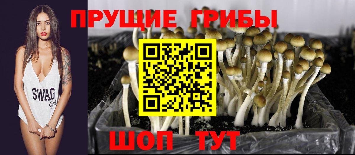 Улан-Удэ  Псилоцибиновые грибы Magic Shrooms  Вход с VPN  Галлюциногенные грибы мухоморы 