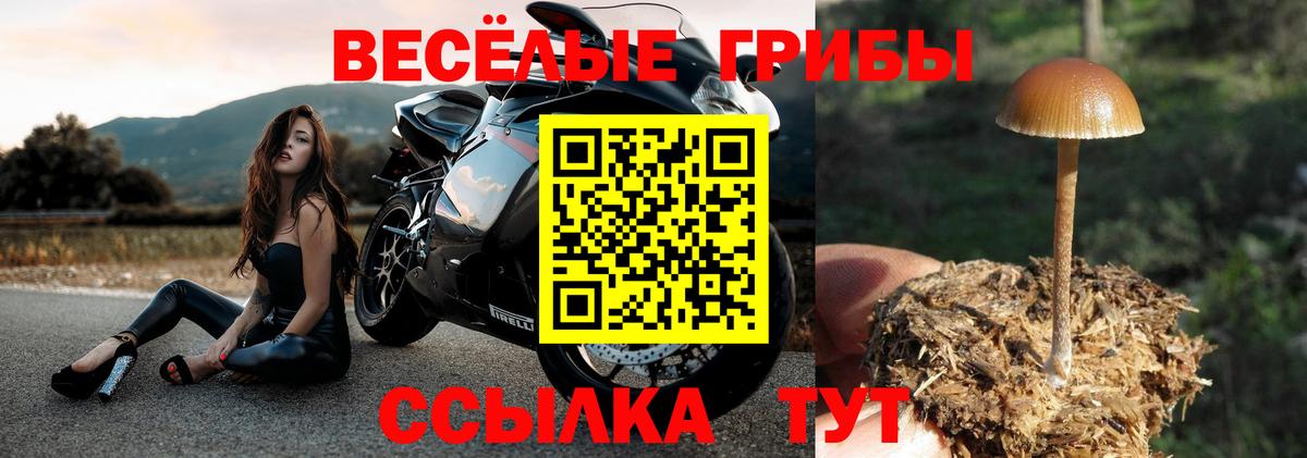 Галлюциногенные грибы GOLDEN TEACHER Улан-Удэ