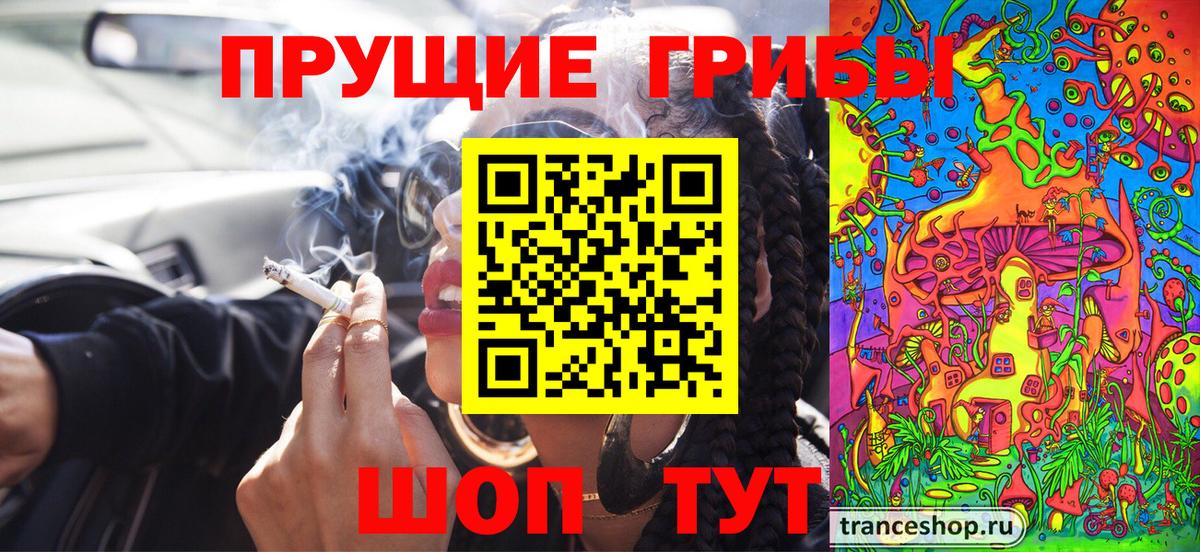 Псилоцибиновые грибы Psilocybine cubensis Улан-Удэ